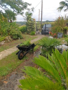Life annuity house for sale in SAINT FELIX (16), 8 rooms, single storey, 3/4 bedrooms, land/woods 15,000 m²