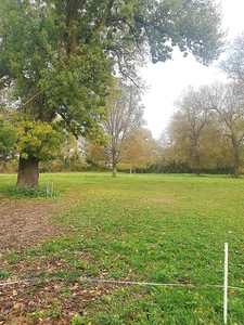 Maison 244 m² viager à vendre occupé 2 têtes AIGRE (16) terrain 2.8 hectares
