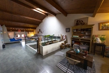 Maison coup de cœur avec piscine - 5 Suites - 445 m² - Villerest (42300) – 650 000 euros