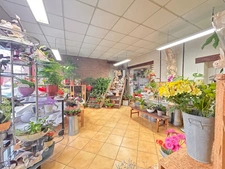 Fonds de commerce FLEURISTE 48 m²