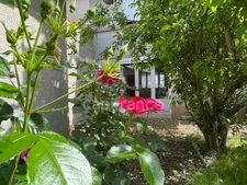 Charmante maison 4 Chambres 