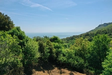 Terrain à vendre  1724 m² vue mer BRANDO (20)