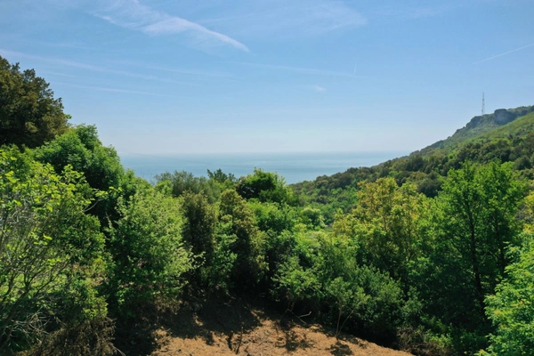 Terrain à vendre  1724 m² vue mer BRANDO (20)