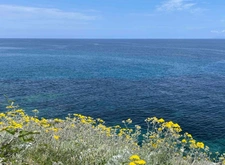 Terrain à vendre 2600 m² PIETRACORBARA (20) - VUE MER PANORAMIQUE