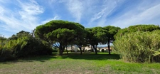 Appartement à vendre T3 dans Résidence pied dans l'eau - POGGIO MEZZANA (20)