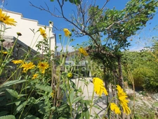 Centre ville de Boves. Maison rénovée avec goût