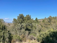 Var (83), à vendre GASSIN Terrain Agricole Zone AOC environ 17 000 m² (1 ha 7a) (31 euros/m2)  