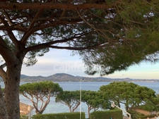 Var(83) Vente-Gassin-Golfe de Saint Tropez-BASTIDE et MAISON sur Terrain 2 117 m², 2 piscines-Bord de mer