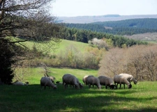 Maison à Cussy en Morvan  de 136 m2 - 8 pièces - diverses dépendances - terrain 1182 m2