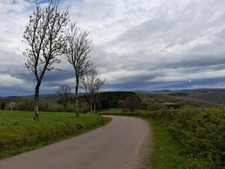 House for sale 4 rooms SAVILLY (21) - OUTBUILDINGS - LAND 935 m 2
