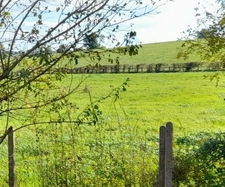 Maison à vendre 6 pièces GUIPY (58) - 115 m 2 - dépendances - terrain 697 m2 