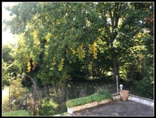 Maison 10 pièces SAINT DIZIER LEYRENNE (23)