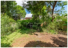 Charming shop with large garden - Sacré-Coeur - Nansouty