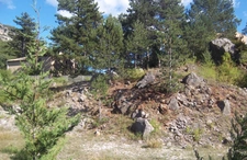 Terrain à vendre  SAINT JULIEN DU VERDON (04)