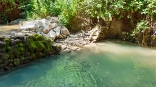 Forcalquier – Demeure de charme du XIXᵉ avec 4 gîtes, parc paysager et source naturelle, Provence, Haute-Provence