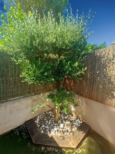 Maison T4 98m2, jardin, terrasse, 3 chambres, parkings, 10 minutes d'aix-en-provence. Quartier calme et recherché au pied de la Sainte-Victoire. Bouches du Rhône.