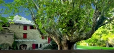 Forcalquier – Demeure de charme du XIXᵉ avec 4 gîtes, parc paysager et source naturelle, Provence, Haute-Provence