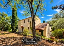 Maison 4 pièces, piscine, vue sur les vignes, Puyloubier, Provence, Montagne Sainte-Victoire, Bouches-du-Rhône, 