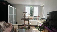 Haut Sucy Appartement 2 pièces vendu loué