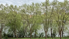 Deux pièces 68 m2 Quai du Châtelier L'ILE SAINT DENIS 