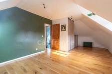 4 bedroom mansion in Viselets