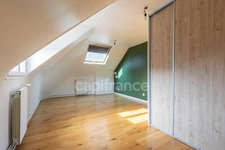 4 bedroom mansion in Viselets