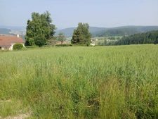 Terrain à vendre de 950,00 m² DUNIERES (43)