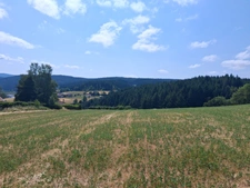 Terrain à vendre de 950,00 m² DUNIERES (43)