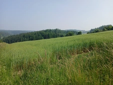 Terrain à vendre de 950,00 m² DUNIERES (43)