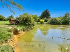 Propriété à vendre avec 2 hectares, 6 pièces,  piscine, dépendances et pré cloturé et équipé – Mazangé (41)