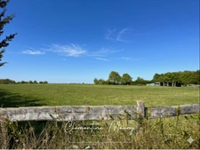 Propriété à vendre avec 2 hectares, 6 pièces,  piscine, dépendances et pré cloturé et équipé – Mazangé (41)