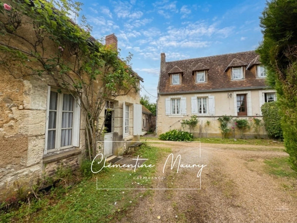 Propriété de caractère a vendre – 160 M² habitable – Dépendances – Terrain arboré de 2 200m2 VILLIERS SUR LOIR (41)