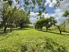 Propriété de caractère a vendre – 160 M² habitable – Dépendances – Terrain arboré de 2 200m2 VILLIERS SUR LOIR (41)