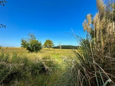 Chalet à vendre 35m2 OUCQUES (41)