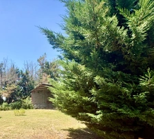 Tarbes – Propriété de caractère avec maison de 184 m² à rénover et près de 1 800 m² de bâtis