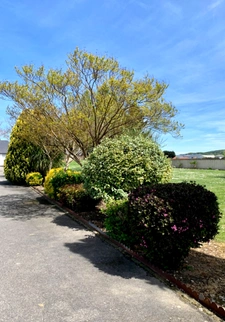 Dpt Hautes Pyrénées (65), for sale near TARBES 8-room house of 260 m² - Land of 4,000.00 m² - outbuildings - garage - cellar -