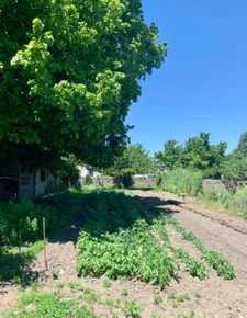 Maison + dépendances à vendre à LALOUBERE (65) + Terrain constructible