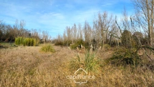 Terrain 6000m² ROQUES (31)