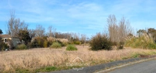 Terrain 5000m² ROQUES (31)
