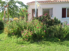 PETITE MAISON neuve de 2025 - A VENDRE à DIGNE LES BAINS (04000)