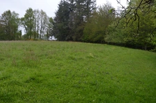 propriété avec deux maisons et vastes parcelles de terrain