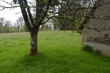 propriété avec deux maisons et vastes parcelles de terrain