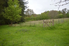 propriété avec deux maisons et vastes parcelles de terrain