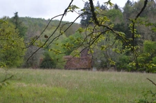 propriété avec deux maisons et vastes parcelles de terrain