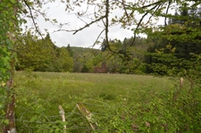 propriété avec deux maisons et vastes parcelles de terrain