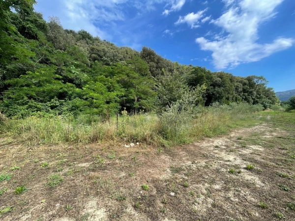 PEGOMAS, Terrain de 9 720,00 m² avec lots d'habitation et lots commerciaux loués