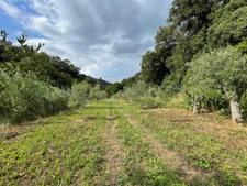 PEGOMAS, Terrain de 9 720,00 m² avec lots d'habitation et lots commerciaux loués