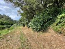 PEGOMAS, Terrain de 9 720,00 m² avec lots d'habitation et lots commerciaux loués