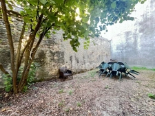 T2 BIS 54 M² - DIJON PROXIMITE WILSON