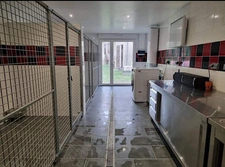 MAISON 137m2 + DÉPENDANCES + ÉLEVAGE CANIN SUR 5,7 HA DE TERRAIN Proche de AIRE SUR L'ADOUR (40)